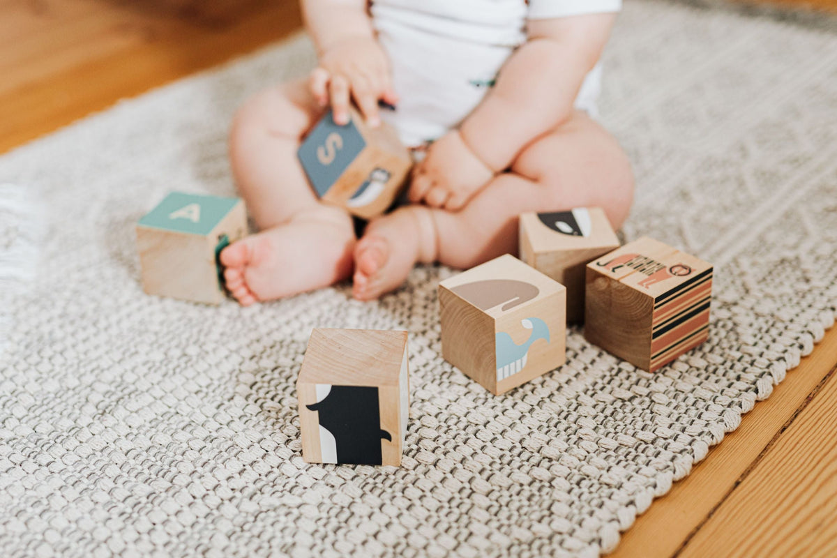 Baby & Toddler Toys
